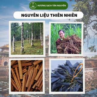 Nhang sạch Tân Nguyên, hương quế, nhang thơm cao cấp ống 170-190 que