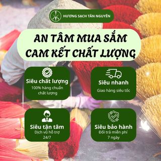 Nhang sạch Tân Nguyên, hương quế, nhang thơm cao cấp ống 170-190 que