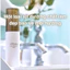 Xịt khoáng Nhật Bản dưỡng ẩm bảo vệ da Sitrana Cica Protect Mist