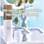 Xịt khoáng Nhật Bản dưỡng ẩm bảo vệ da Sitrana Cica Protect Mist