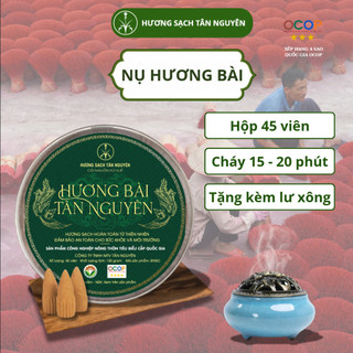 [OCOP 4 SAO - TẶNG LƯ XÔNG] Hộp nụ hương bài Tân Nguyên 45 viên, thơm dịu ngọt, xông nhà, thanh lọc không khí, khử ẩm