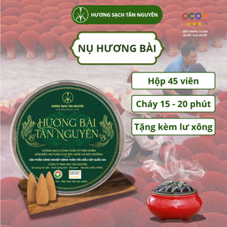 [OCOP 4 SAO - TẶNG LƯ XÔNG] Hộp nụ hương bài Tân Nguyên 45 viên, thơm dịu ngọt, xông nhà, thanh lọc không khí, khử ẩm