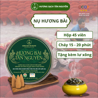 [OCOP 4 SAO - TẶNG LƯ XÔNG] Hộp nụ hương bài Tân Nguyên 45 viên, thơm dịu ngọt, xông nhà, thanh lọc không khí, khử ẩm