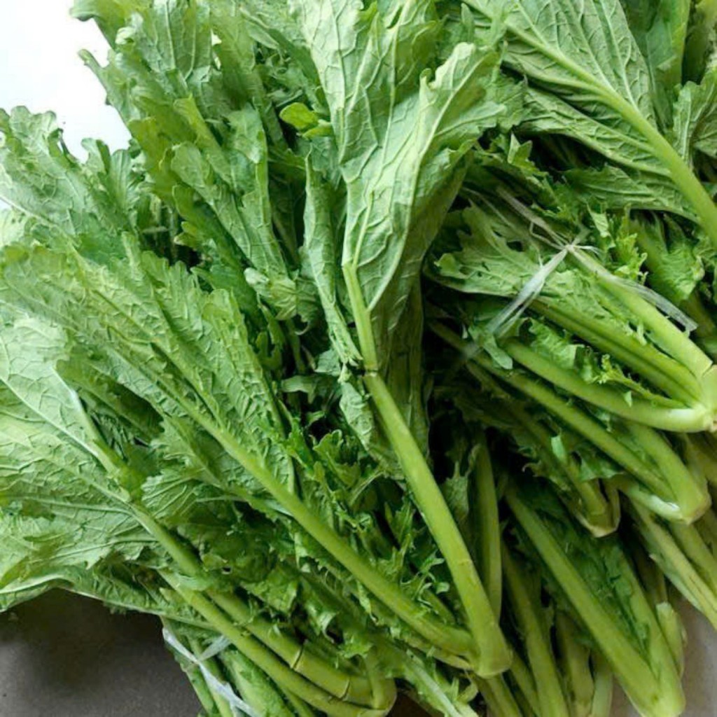 Hạt Giống Cải Mèo Hà Giang – Rau Đặc Sản Vùng Cao, Lá Giòn Ngọt, Ăn Sống hoặc Nấu Chín Đều Ngon