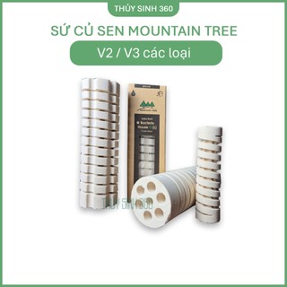 Sứ Lọc Củ Sen Moutain Tree Các Loại - Thế Hệ 2 - Thế Hệ 3 - Cho Hệ Thống Lọc Hồ Cá