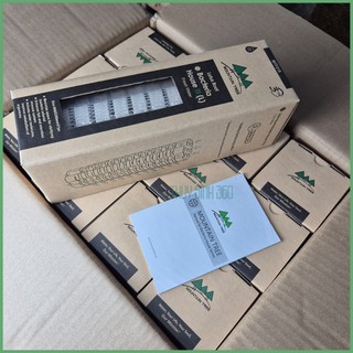 Sứ Lọc Củ Sen Moutain Tree Các Loại - Thế Hệ 2 - Thế Hệ 3 - Cho Hệ Thống Lọc Hồ Cá