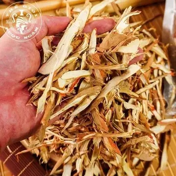 Sâm cau đỏ khô 1kg, sâm cau thái phiến, hỗ trợ bổ thận, mạnh gân cốt, tăng cường sinh lý nam