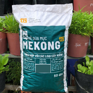 Rễ Dừa Mục Mekong Loại 50dm3 -Nguyên Liệu Phố Trộn với Giá Thể - Giàu Dinh Dưỡng