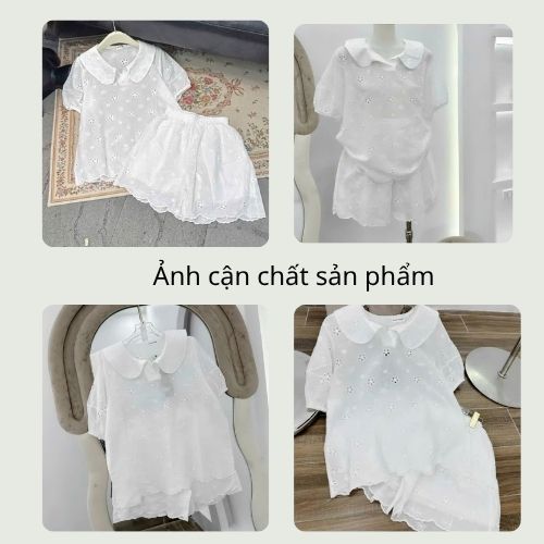 Set đồ nữ ren hoa áo cổ sen mix quần đùi cạp chun, đồ bộ nữ tiểu thư sang chảnh HCOM26277