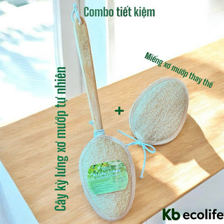 COMBO Cây Kỳ Lưng Xơ Mướp Tự Nhiên(Cán dẹt) + Miếng Xơ Mướp Thay Thế KB Ecolife Làm Sạch Sâu Tẩy Tế Bào Chết