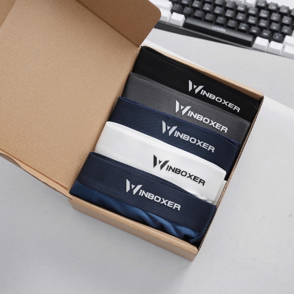 Combo 4 Quần Lót Nam WinBoxer Cao Cấp Thun Lạnh Kháng Khuẩn Thoáng Khí Co Giãn 4 Chiều , Set 5 Màu Thoải Mái Vận Động