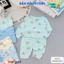 Set 2/3 Bộ Dài Tay Màu Thun Petit In hoạ tiết mềm mịn cho bé sơ sinh 3-15kg NT-DL19 Đậu Đậu Store