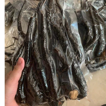 Sâm Béo Đen (Sâm Bảo Ngọc) Rừng Tươi - Thơm Nức - Mã 1KG- - Gửi Toàn Quốc