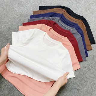 Áo Thun Bigsize Nữ Dáng Áo Baby tee Cổ Tròn Basic Tay Ngắn Vải Co Giãn Cho Chubby 60-95kg G244