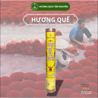 Nhang quế Tân Nguyên, nhang thơm thờ cúng, nhang sạch ít khói loại ống 180 que, Hương Quế Sạch 35cm