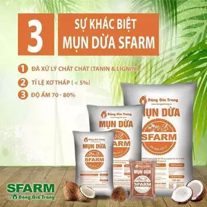 MỤN DỪA SFARM 20dm3