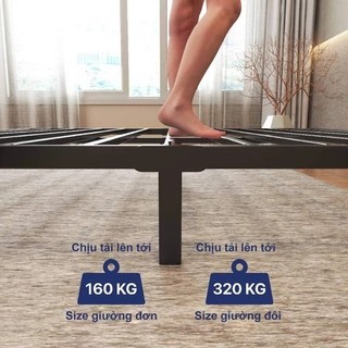 Panda Giường sắt hiện đại đơn giản 1.8m giường sắt tải trọng khung sắt chắc chắn mang 500kg