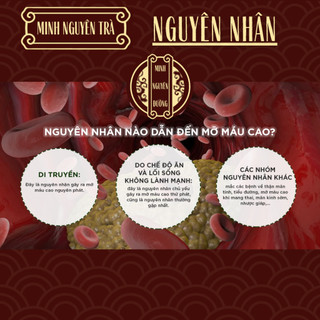 Trà Hạ Mỡ Máu - Minh Nguyên - Mỡ Máu, Mỡ Thành Mạch, Phòng Tai Biến, Ổn Định Huyết Áp - Túi 50 lọc