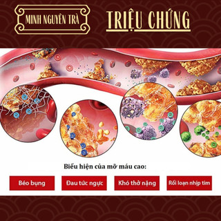 Trà Hạ Mỡ Máu - Minh Nguyên - Mỡ Máu, Mỡ Thành Mạch, Phòng Tai Biến, Ổn Định Huyết Áp - Túi 50 lọc