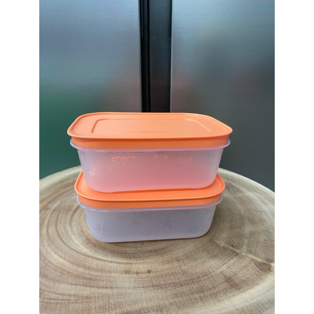 hộp đông Tupperware 450ml, 1,1L , hàng Tup Trung chính hãng; MẪU ĐÔNG ...