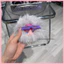 Blindbox Lilisha V2 chính hãng