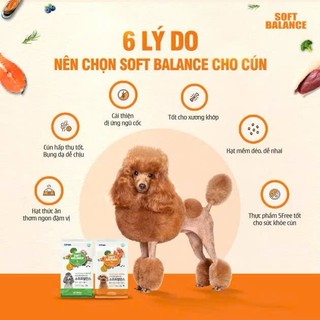 [MUA 2 GIẢM 5%-1.2KG] Soft Balance Hạt mềm, Hỗ trợ xương khớp & tiêu hóa, Dưỡng da lông, Khỏe đường ruột