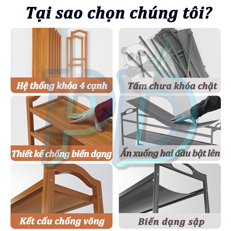 Thiết kế của Đôi Giày