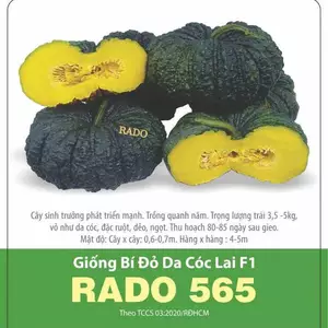 Gói 5 hạt giống Bí Đỏ Da Cóc RADO 565, Rau Ăn Quả Cty Rạng Đông Nổi Tiếng, Trồng Quanh Năm, Hạt Nảy Mầm Nhanh, Mạnh