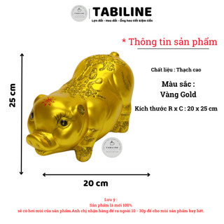 Heo đất ống tiết kiệm tiền lỗ ngang heo ngọc trinh size vừa màu gold LD31 - TABILINE
