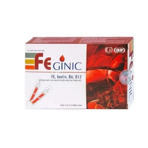 Bổ máu Sắt ống FEGINIC (hộp 20 ống )