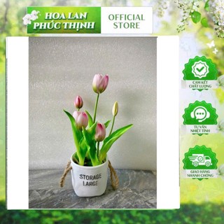🌷 Chậu Hoa Tulip Giả (chậu cắm sẵn như hình) –tulip cao su-  Tinh Tế, Nhẹ Nhàng & Hiện Đại 🌷