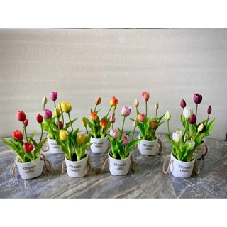 🌷 Chậu Hoa Tulip Giả (chậu cắm sẵn như hình) –tulip cao su-  Tinh Tế, Nhẹ Nhàng & Hiện Đại 🌷