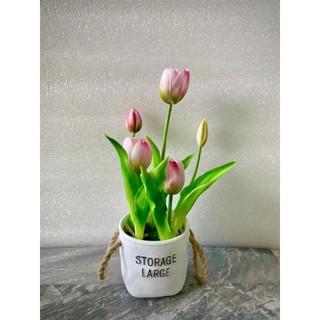 🌷 Chậu Hoa Tulip Giả (chậu cắm sẵn như hình) –tulip cao su-  Tinh Tế, Nhẹ Nhàng & Hiện Đại 🌷