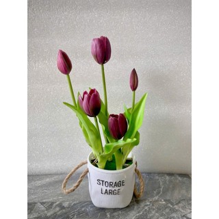 🌷 Chậu Hoa Tulip Giả (chậu cắm sẵn như hình) –tulip cao su-  Tinh Tế, Nhẹ Nhàng & Hiện Đại 🌷