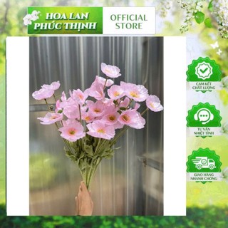 🌸 Bó Hoa Anh Túc 10 cành màu Pastel – Hoa Lan Phúc Thịnh 🌸(combo 10 cành)