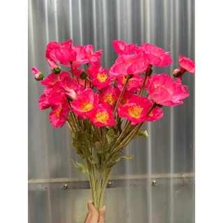 🌸 Bó Hoa Anh Túc 10 cành màu Pastel – Hoa Lan Phúc Thịnh 🌸(combo 10 cành)