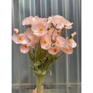 🌸 Bó Hoa Anh Túc 10 cành màu Pastel – Hoa Lan Phúc Thịnh 🌸(combo 10 cành)