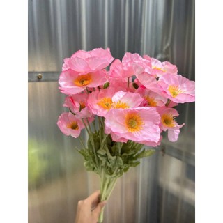 🌸 Bó Hoa Anh Túc 10 cành màu Pastel – Hoa Lan Phúc Thịnh 🌸(combo 10 cành)