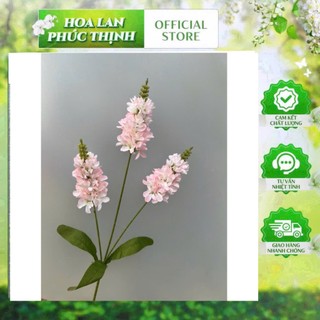 💐 Hoa Phi Yến 3 Nhánh – Sắc Màu Thanh Nhã từ Hoa Lan Phúc Thịnh 💐
