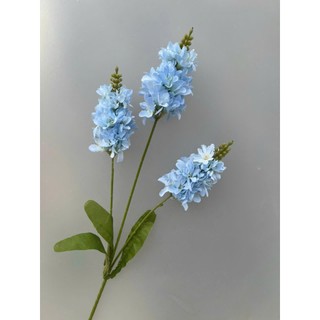 💐 Hoa Phi Yến 3 Nhánh – Sắc Màu Thanh Nhã từ Hoa Lan Phúc Thịnh 💐
