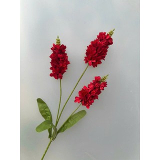 💐 Hoa Phi Yến 3 Nhánh – Sắc Màu Thanh Nhã từ Hoa Lan Phúc Thịnh 💐