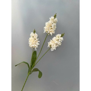 💐 Hoa Phi Yến 3 Nhánh – Sắc Màu Thanh Nhã từ Hoa Lan Phúc Thịnh 💐