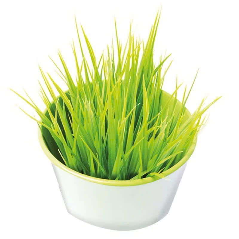 Viên cỏ mèo Gimcat hỗ trợ tiêu hoá bổ sung chất xơ tiêu búi lông cho mèo