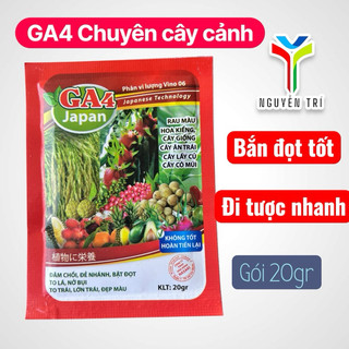 Phân Bón Lá GA4 Japan - Siêu Kích Thích Sinh Trưởng, Đâm Chồi, Bật Đọt, Lớn Trái, Đẹp Màu