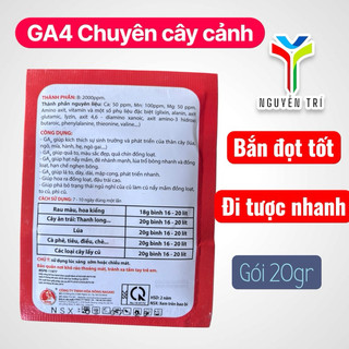 Phân Bón Lá GA4 Japan - Siêu Kích Thích Sinh Trưởng, Đâm Chồi, Bật Đọt, Lớn Trái, Đẹp Màu