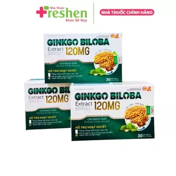Ginkgo Biloba Extract 120mg Hỗ Trợ Hoạt Huyết, Tăng Cường Tuần Hoàn Máu Não – Hộp 3 vỉ x 10 viên