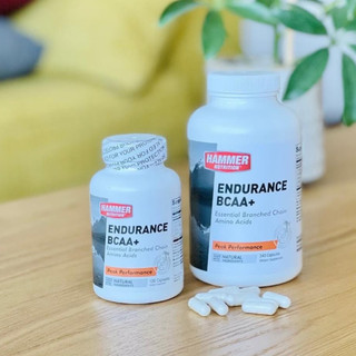 BCAA+ Hammer Viên uống tăng sức bền, phục hồi cơ bắp trong vận động tập luyện kéo dài Hammer