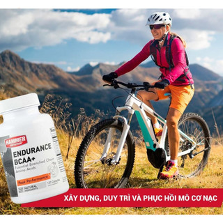 BCAA+ Hammer Viên uống tăng sức bền, phục hồi cơ bắp trong vận động tập luyện kéo dài Hammer