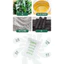 Miếng Dán Thải Độc Chân Gamsung Living e편한 – 50 Miếng Detox Gót Chân, Làm Dịu & Thanh Lọc Cơ Thể