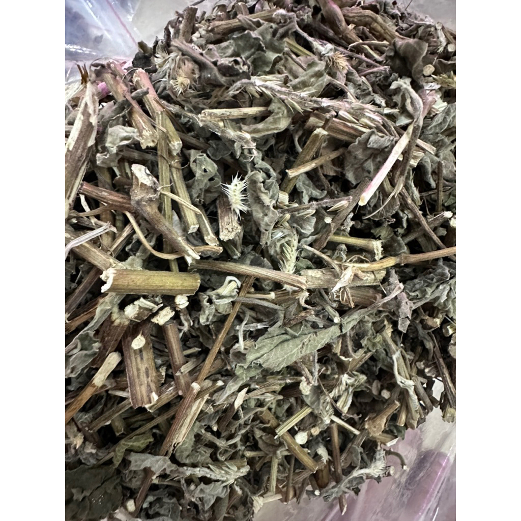 Cây Cỏ Xước Khô Tốt Cho Xương Khớp, Thoái Khoá Khớp
